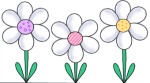 daisies