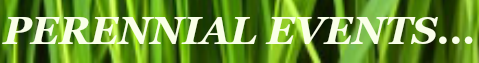 grass