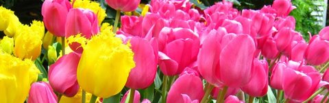 lauritzen_gardens