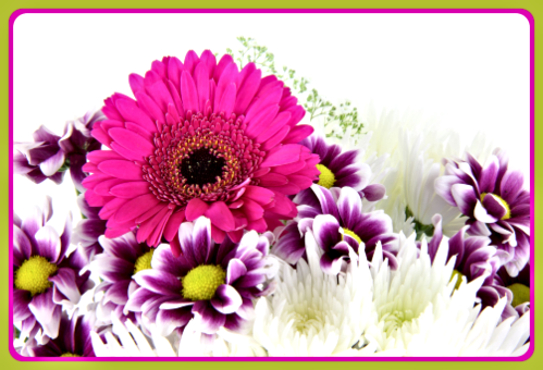 mothers day flowers