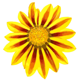 sunslower
