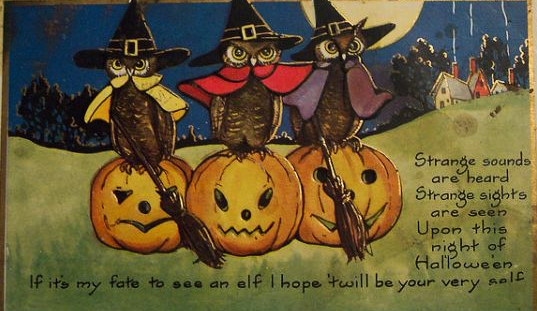 2018 10 31 OWLS PUMPKINS