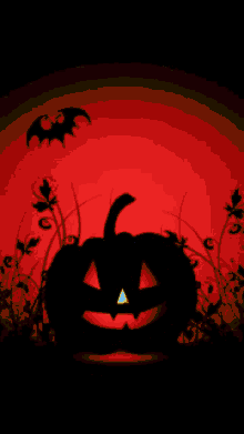 2024 10 30 pumpkin bats