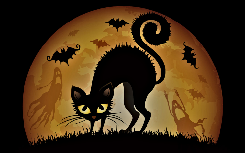 halloween black cat 1280