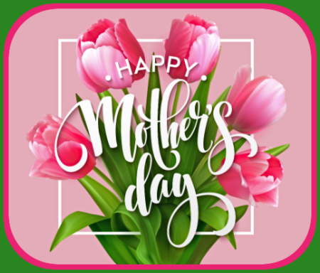 2023 05 10 MOTHERS DAY TULIPS 1