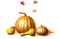 2015 11 25 Leaves pumpkin