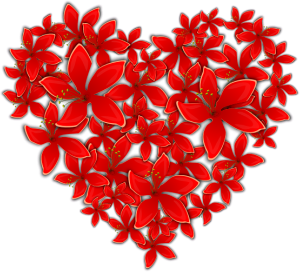 2017 02 07 heart