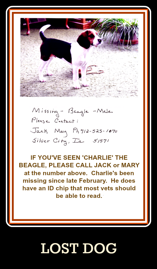2017 03 15 lost dog