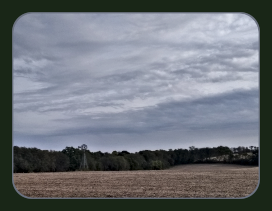2020 10 02 landscape
