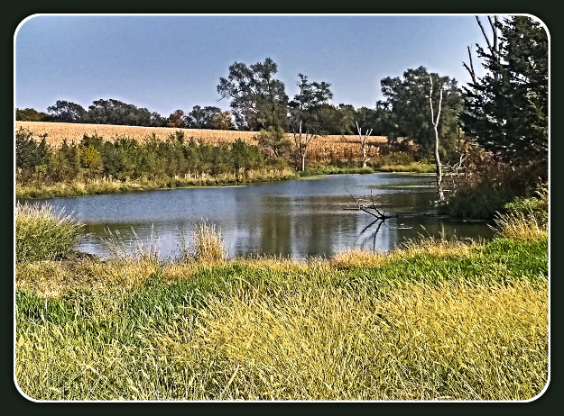 2020 10 09 Pond