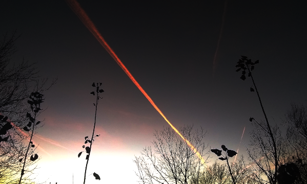 2020 12 21 NIGHT SKY