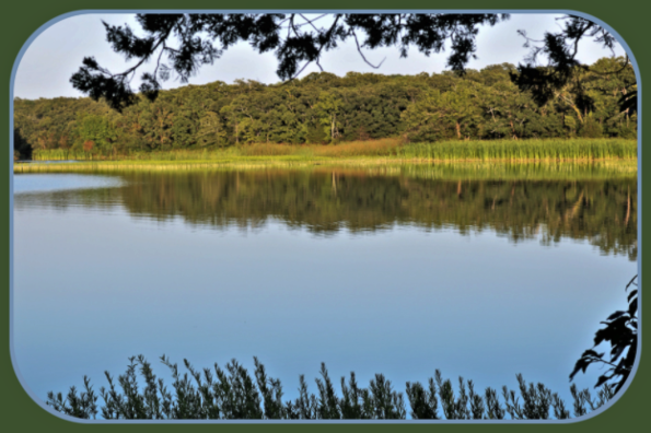 2021 06 16 lake 1