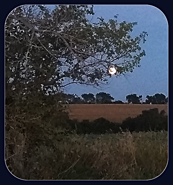 2021 09 22 HARVEST MOON