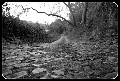 2021 02 03 brick trail