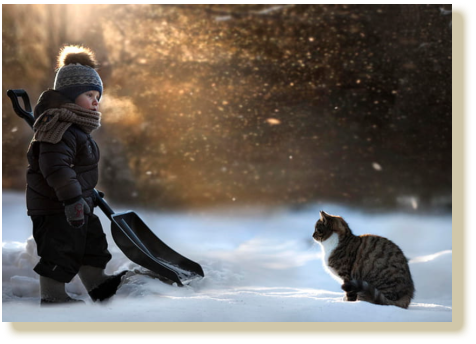 2021 2 15 child shoveling and car 1