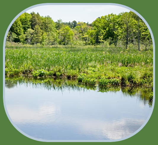 2024 07 24 peaceful pond
