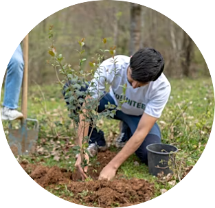 2025 09 03 PLANTING TREE