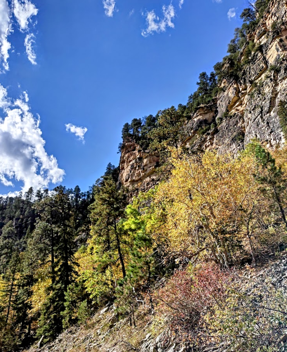 2025 10 03 Black Hills 1