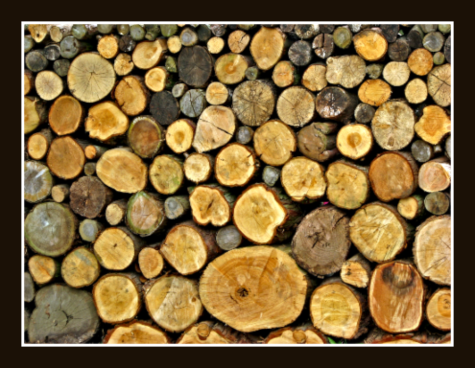 firewood