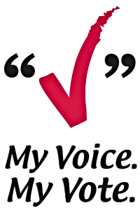voicevote2