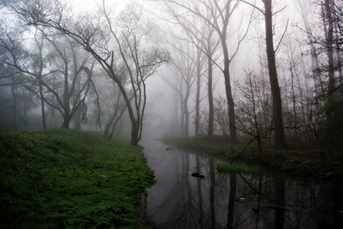 2019 04 03 Misty Creek