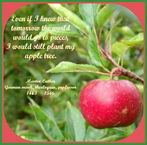 2014-09-17appletree