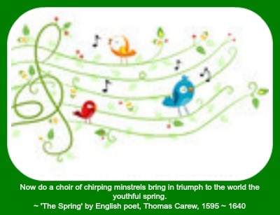 2015-04-08 Singing-Birds-On-A-Vine-Music