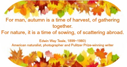 2015-11-18 Autumn_quote