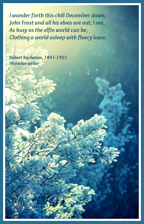 2016 12 07 QUOTE frosty tree