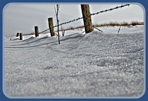 2018 01 10 snowy fence
