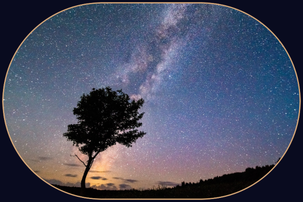 2023 07 05 Milky Way tree 1