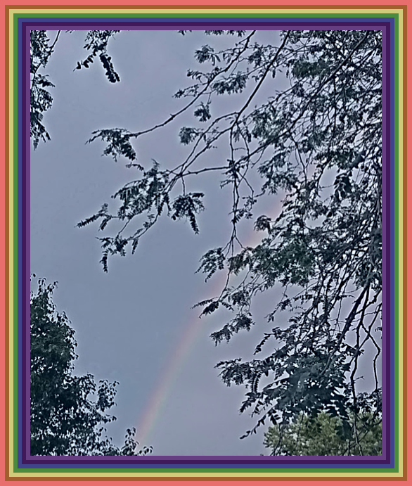 2023 08 02 backyard rainbow