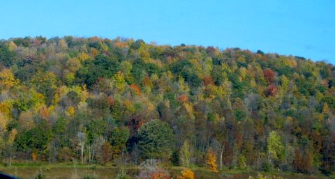 2009_October_in_New_York_018