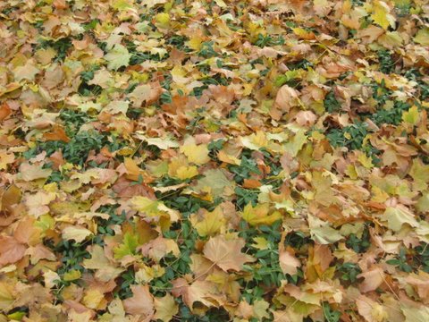 2009_October_in_New_York_139