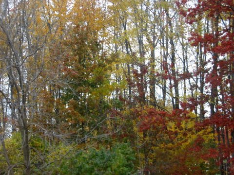 2009_October_in_New_York_296