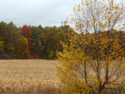 2009_October_in_New_York_329