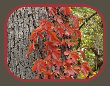 2012-10-31