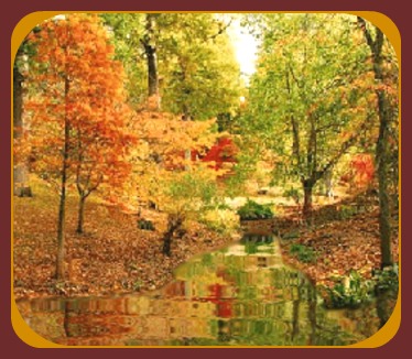 2015-11-04 fall_scene