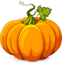 2016 09 28 pumpkin for border