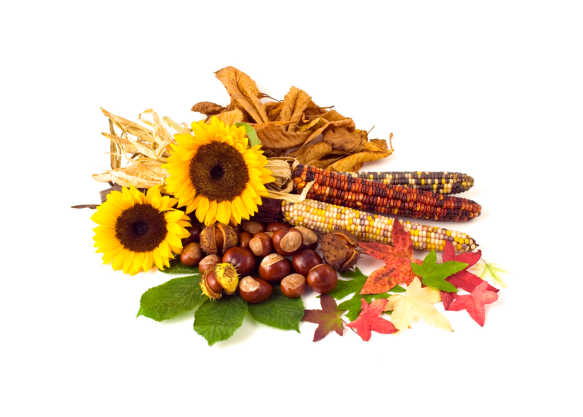 2018 09 19 September harvest bundle
