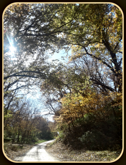 2018 10 28 country path