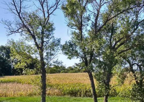2019 09 13 fields