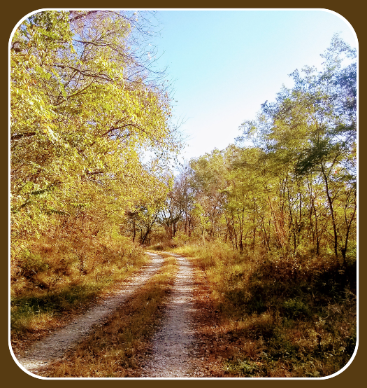 2020 10 15 MISSOURI BACK ROAD