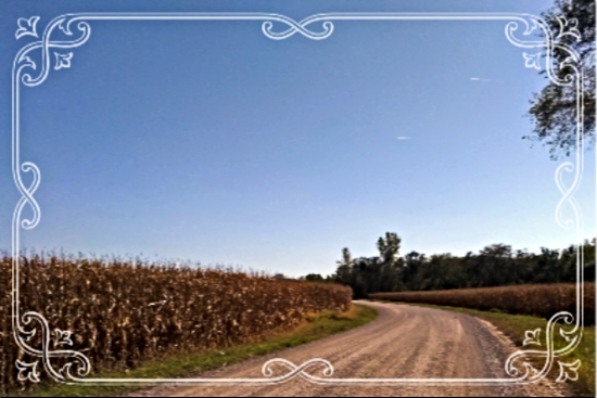 2021 10 18 corn road 1