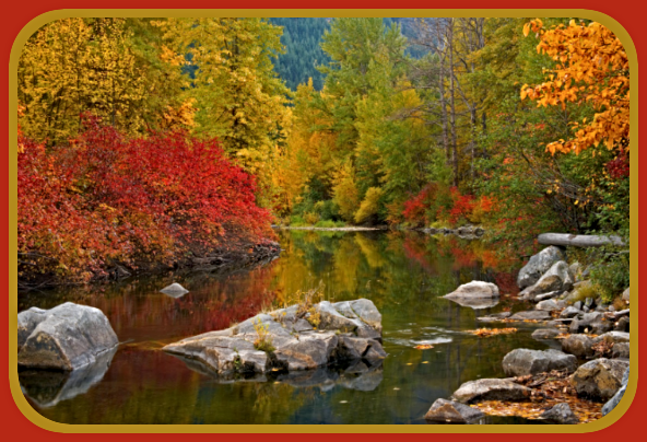 2022 10 12 AUTUMN 1