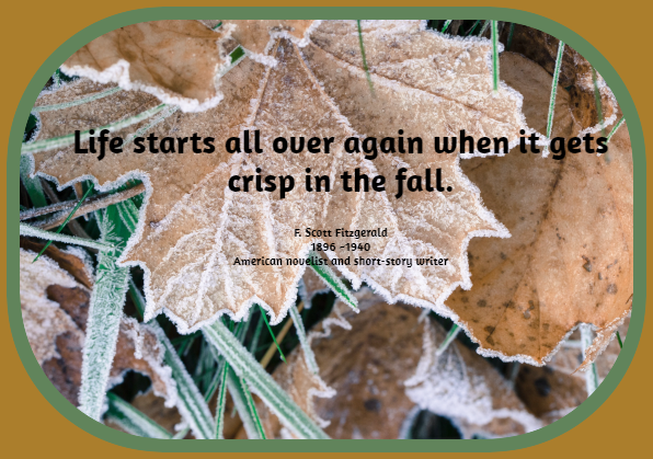 2024 10 09 quote 1