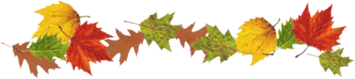 autumn leaves 1