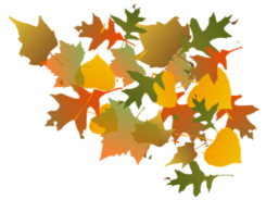 fall leaves R
