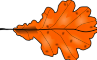 orange oak leaf 1