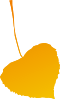 yellow leaf 1